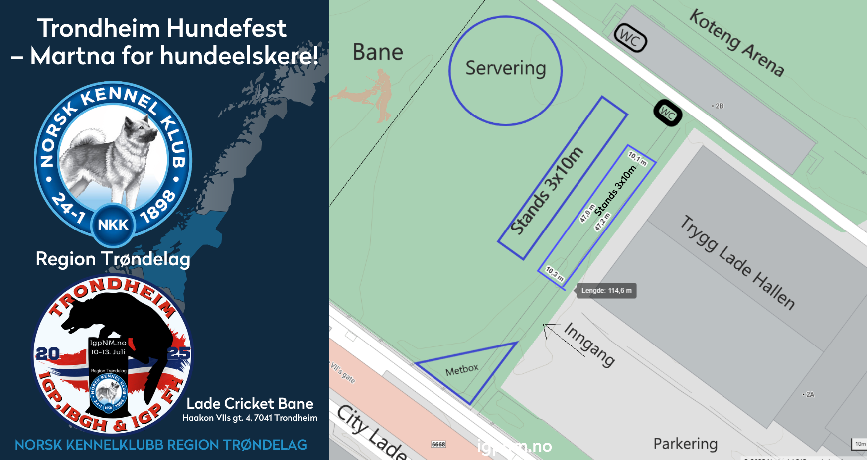 Trondheim Hundefest–Martna for hundeelskere!​